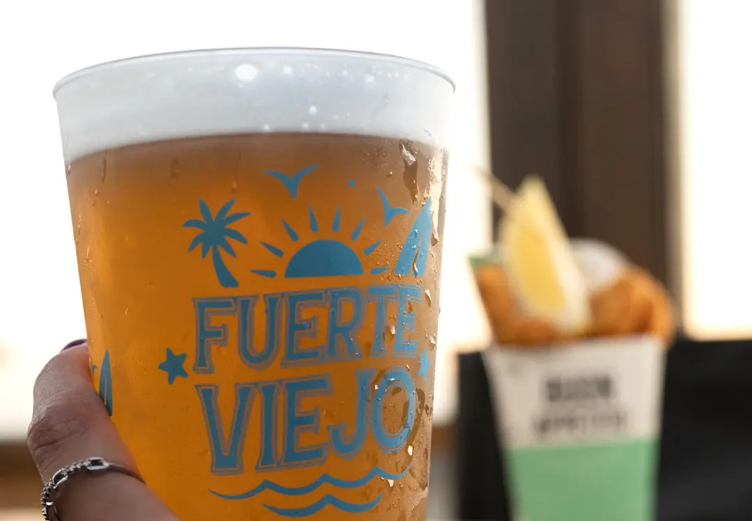Fuerte Viejo